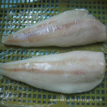 nice fresh frozen cod fish fillet with favorable price
